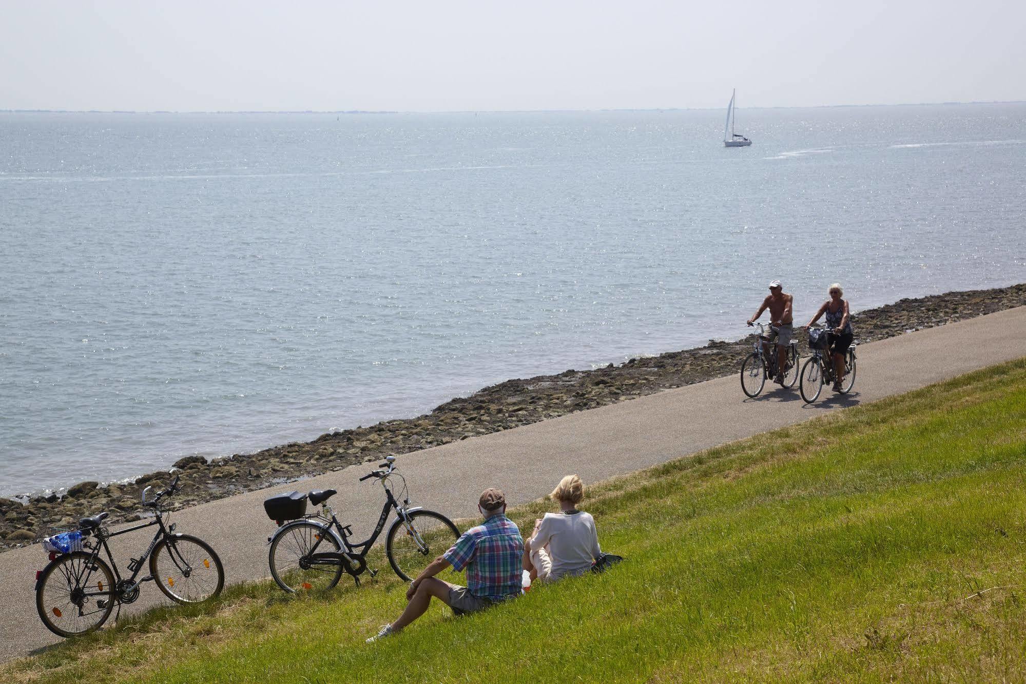 Hotel Molenbos Texel De Cocksdorp  Kültér fotó