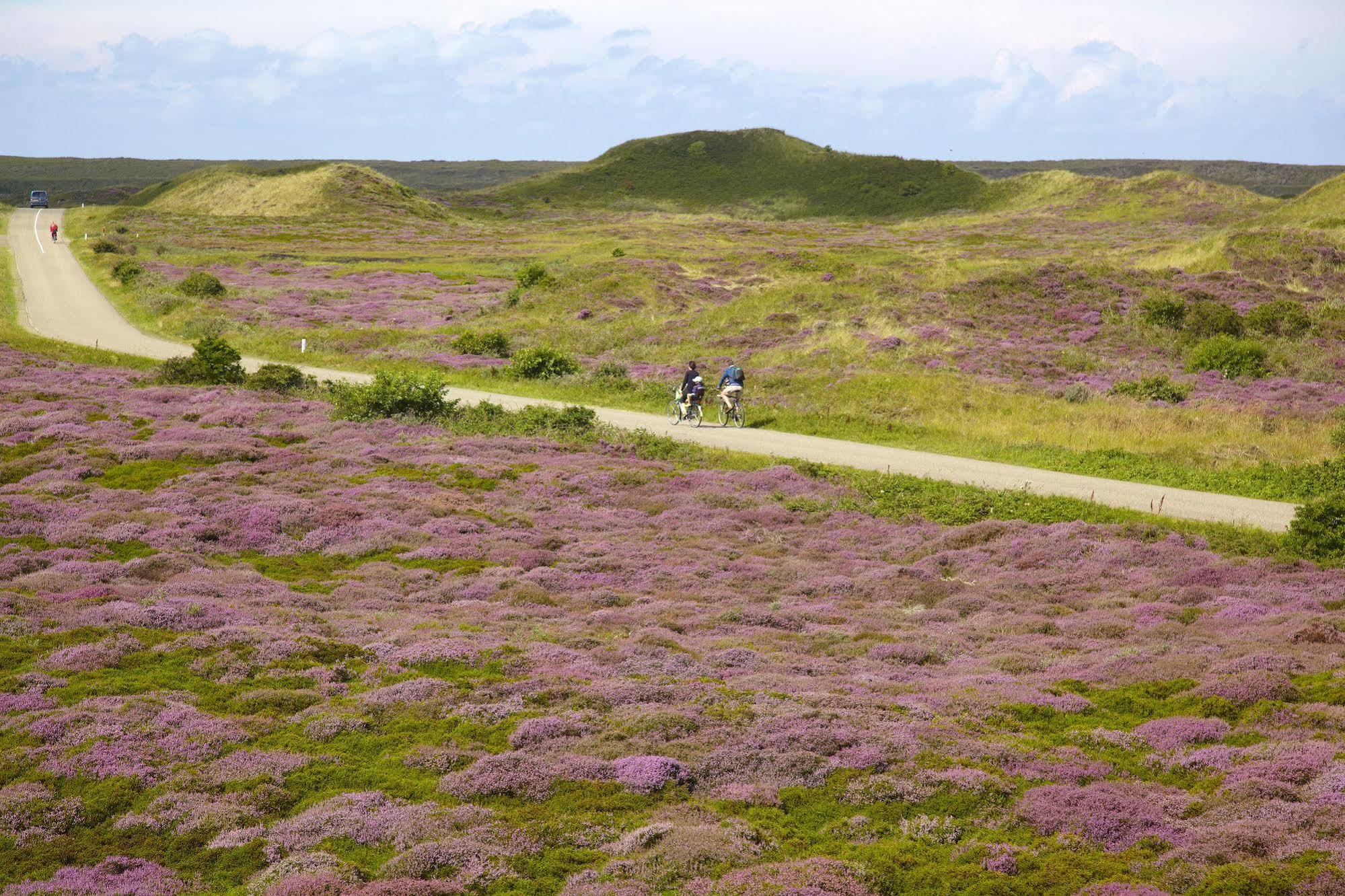 Hotel Molenbos Texel De Cocksdorp  Kültér fotó